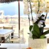 Paparazzi 242 - Milano Marittima - immagine 4