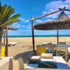 Paparazzi 242 - Milano Marittima - immagine 3