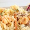 Movida Restaurant Riccione - immagine 5