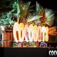 Coconuts addio al celibato